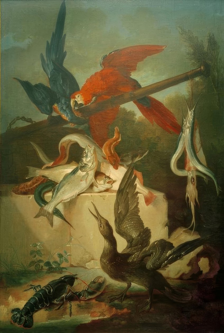 Fisk, havfugle og papegøjer af Jean Baptiste Oudry