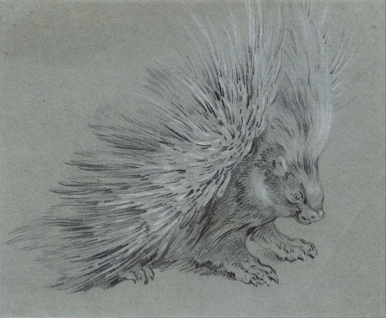 Hulepindsvin af Jean Baptiste Oudry