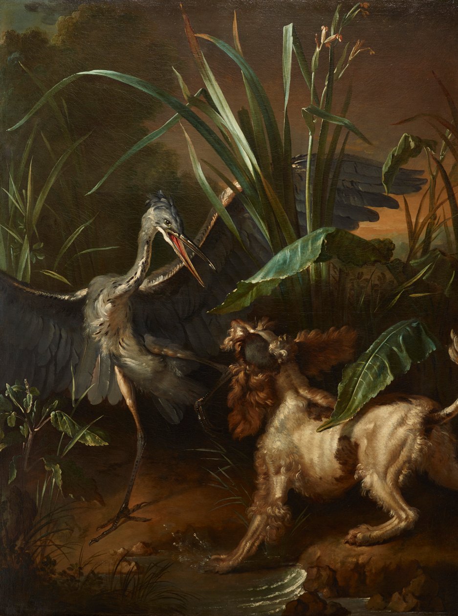 Vandspaniel konfronterer en hejre af Jean Baptiste Oudry