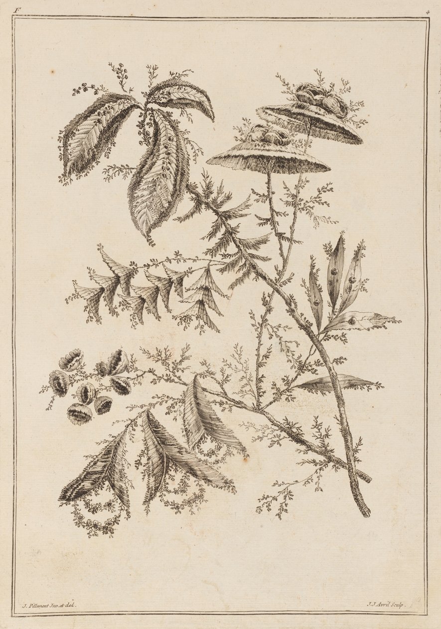 Blomstergren af Jean Baptiste Pillement