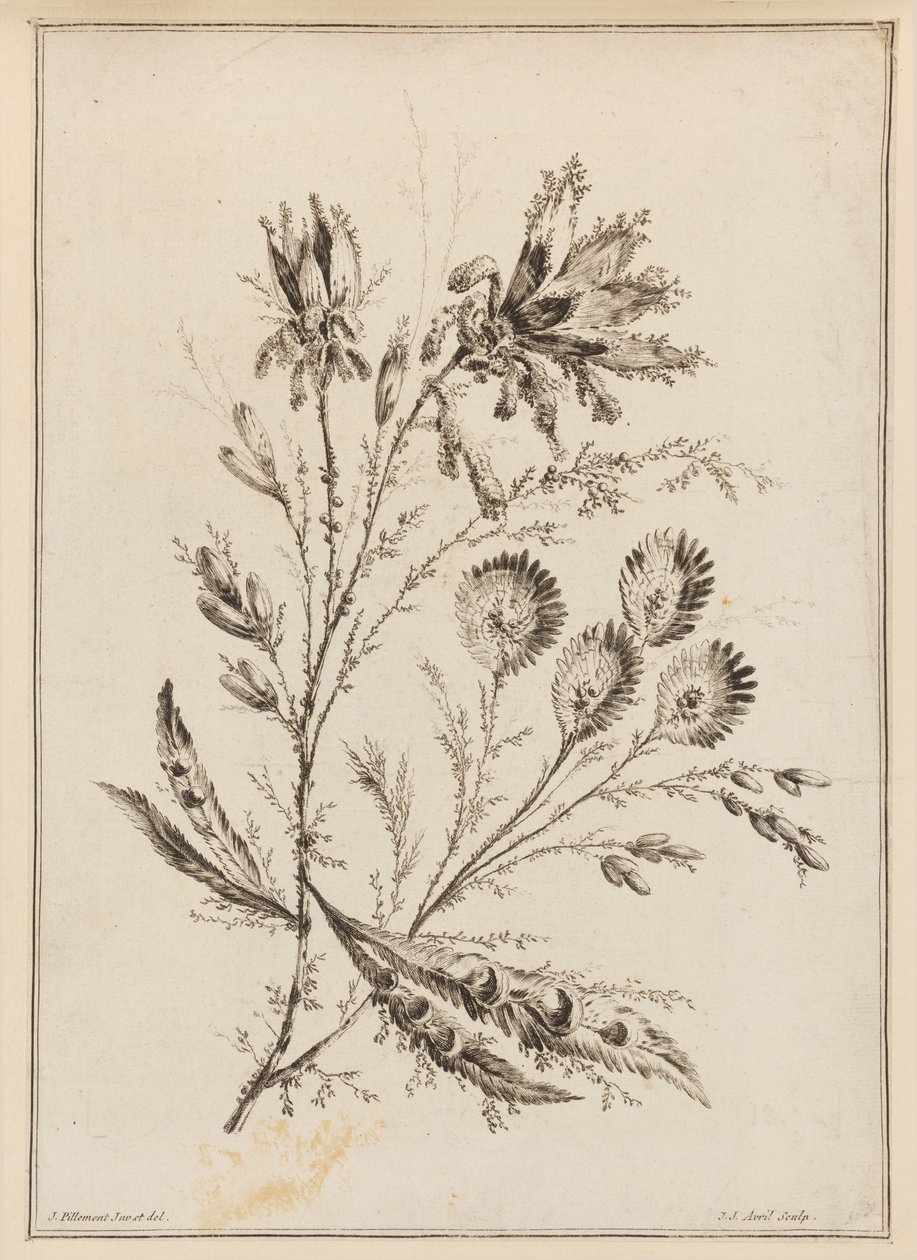 Blomstergren af Jean Baptiste Pillement
