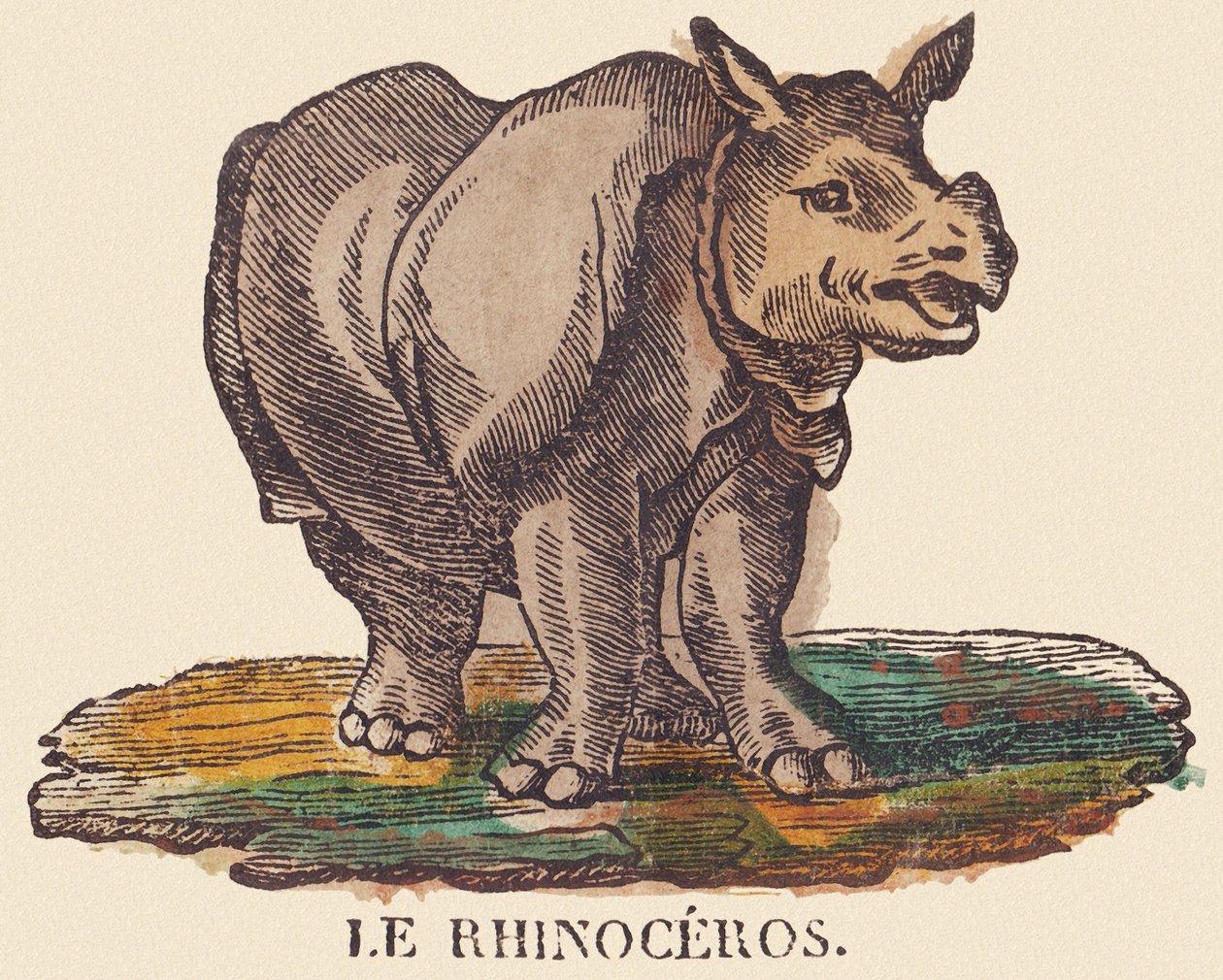 Næsehornet, ca. 1840-1852 (litografi) af Jean Baptiste Thiebault