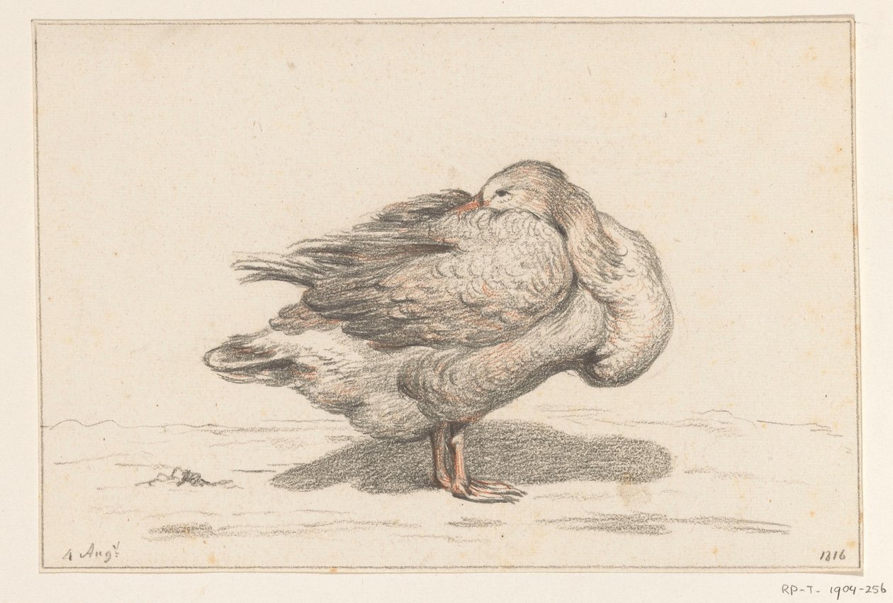Gans af Jean Bernard