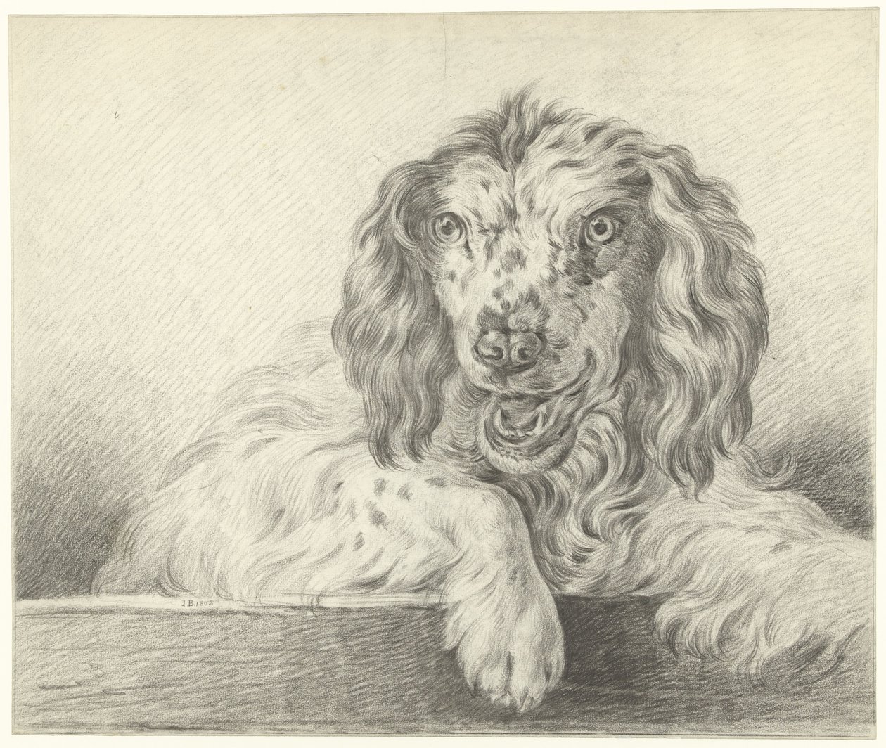 Hund af Jean Bernard