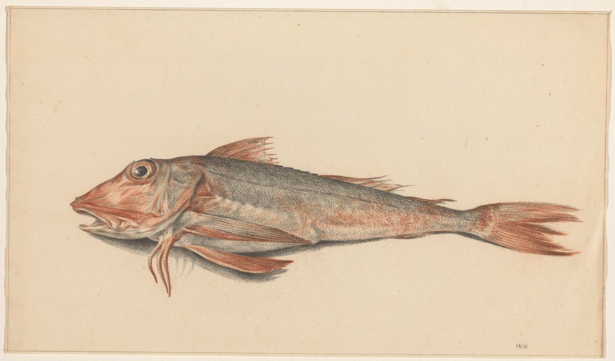 Vis af Jean Bernard