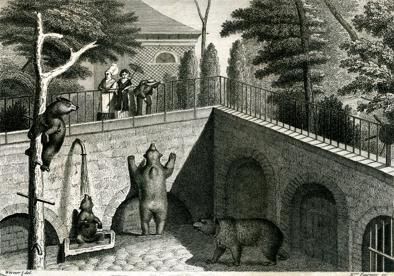 Bjørnehule i en zoologisk have af Jean Charles Werner