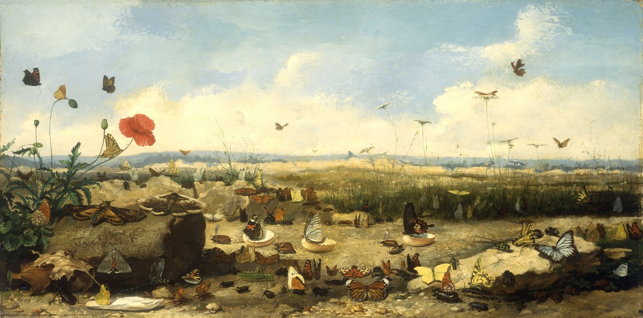 Sommerfuglenes race, 1872 af Jean Eugene Doneaud