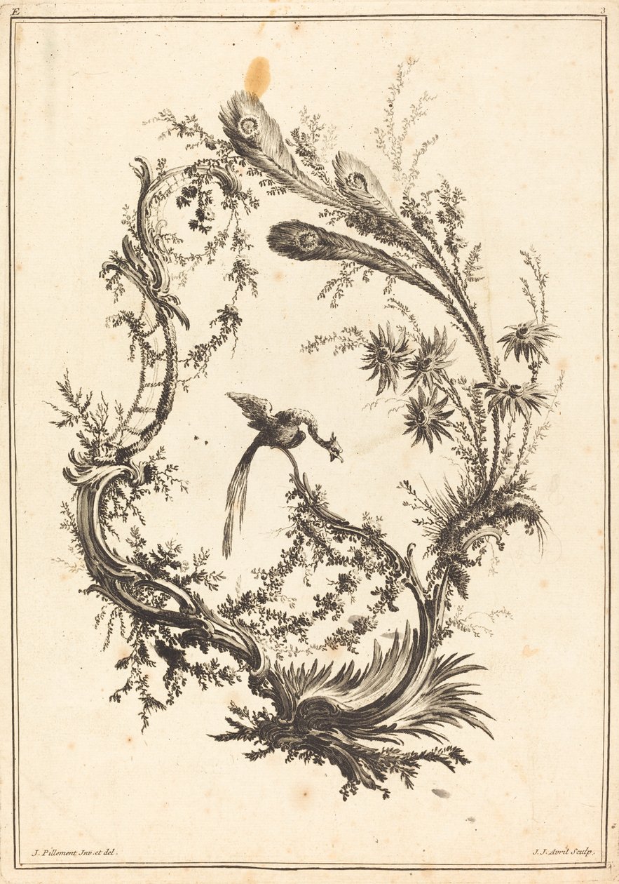 Ornament med en påfugl. af Jean Jacques Avril