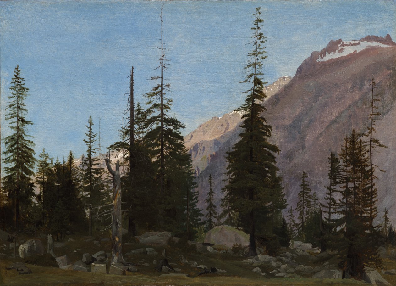 Alpine Landscape: The Handegg, Schweiz af Jean Leon Gerome