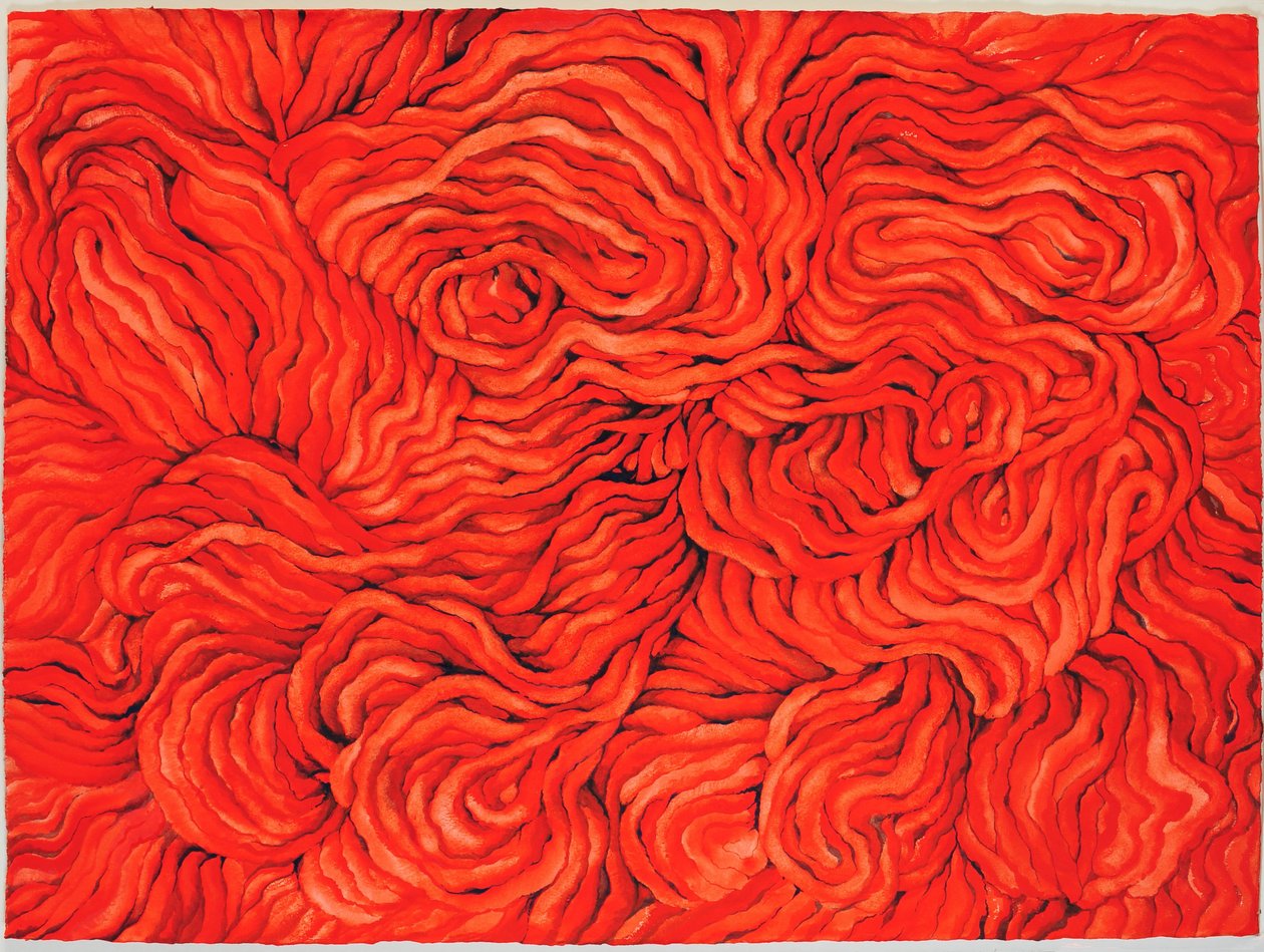 Wool Red, 2013 (gouache på papir) af Jeanne Maze