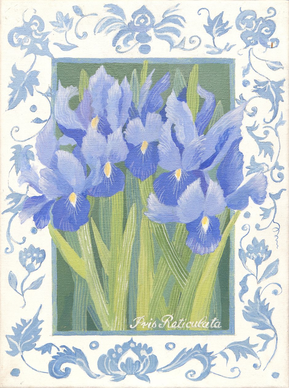 Blå iris (akryl) af Jennifer Abbott