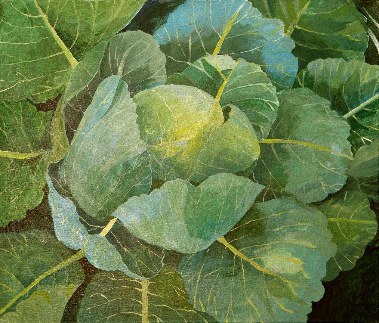 Kål (blå), 2014 (akryl på lærred) af Jennifer Abbott