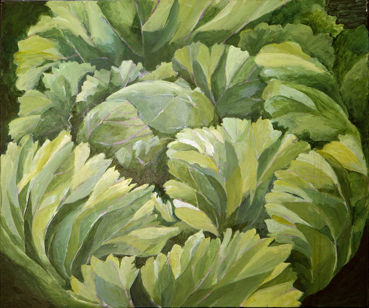 Cabbage, 2013 (akryl på lærred) af Jennifer Abbott
