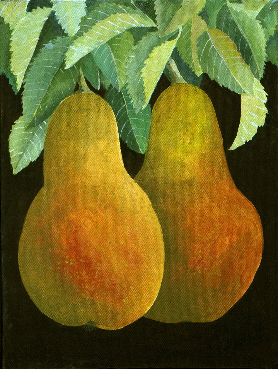 Pærer, 2014 (akryl på lærred) af Jennifer Abbott