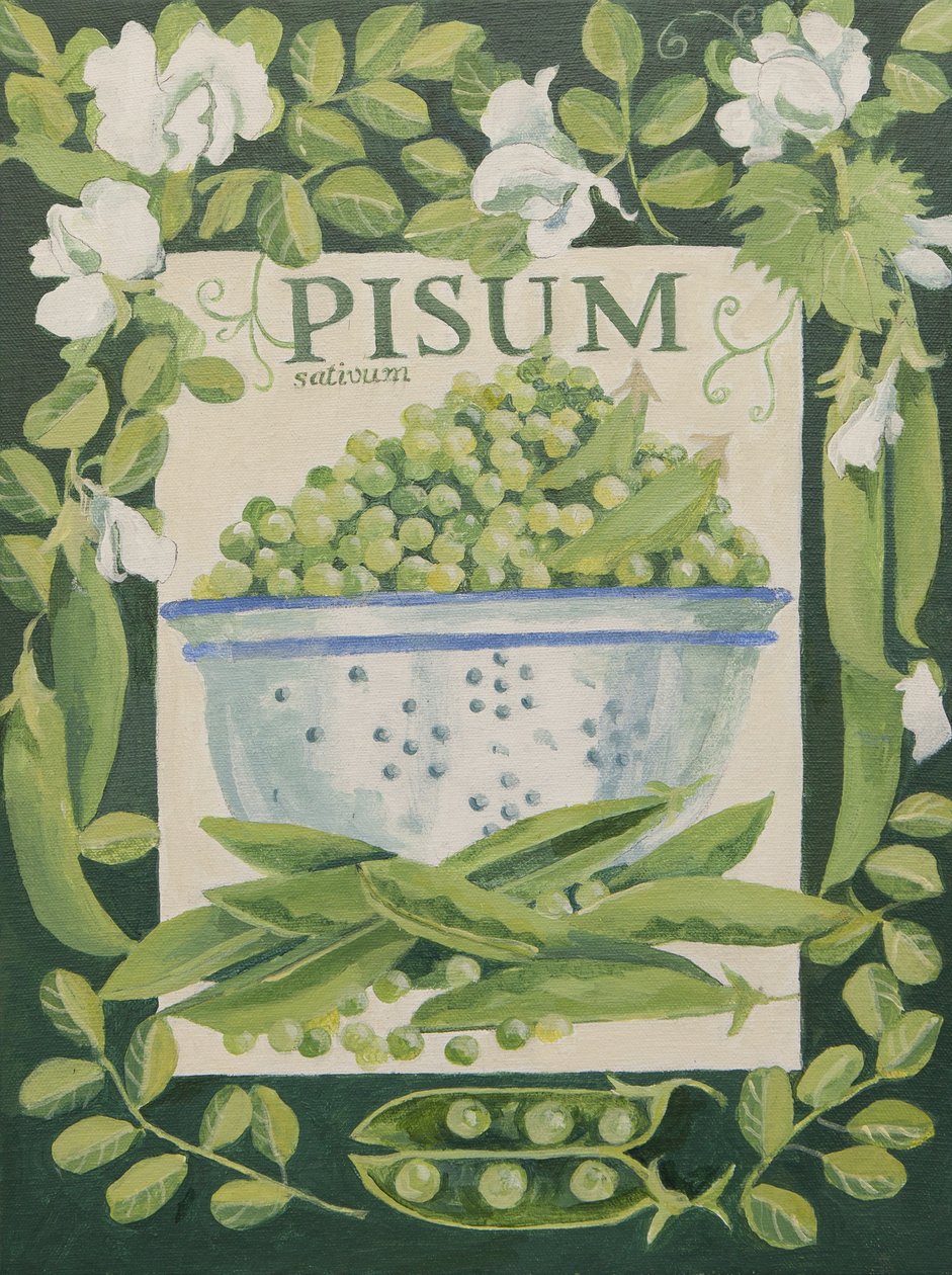 Pisum, ærter (akryl) af Jennifer Abbott