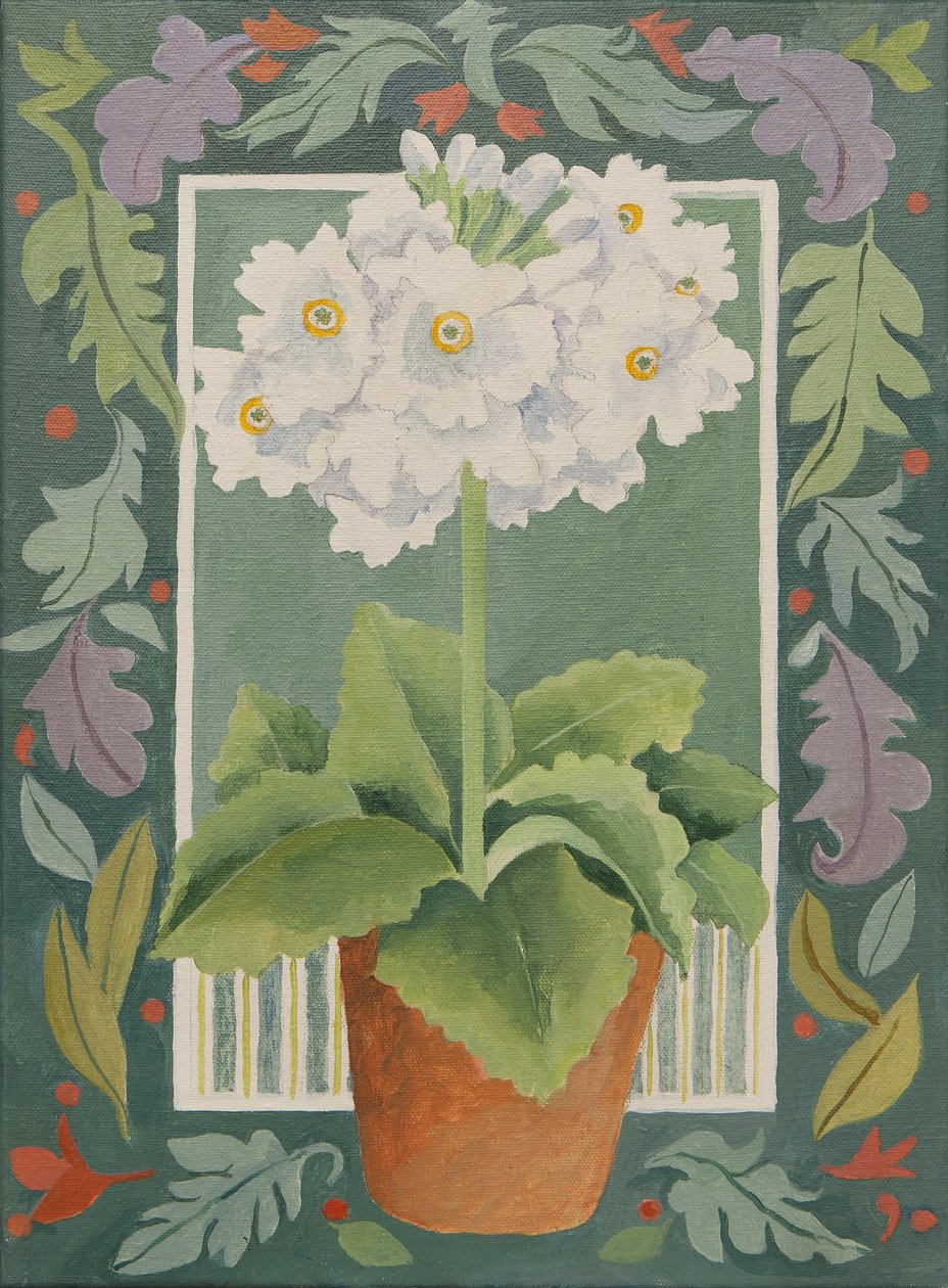 Hvid Primula (akryl) af Jennifer Abbott