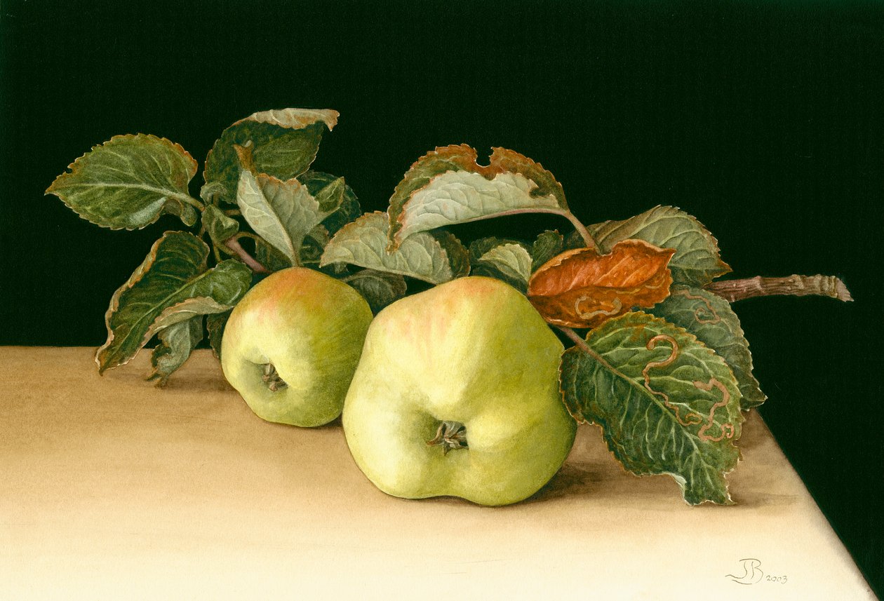 Bramleys af Jenny Barron