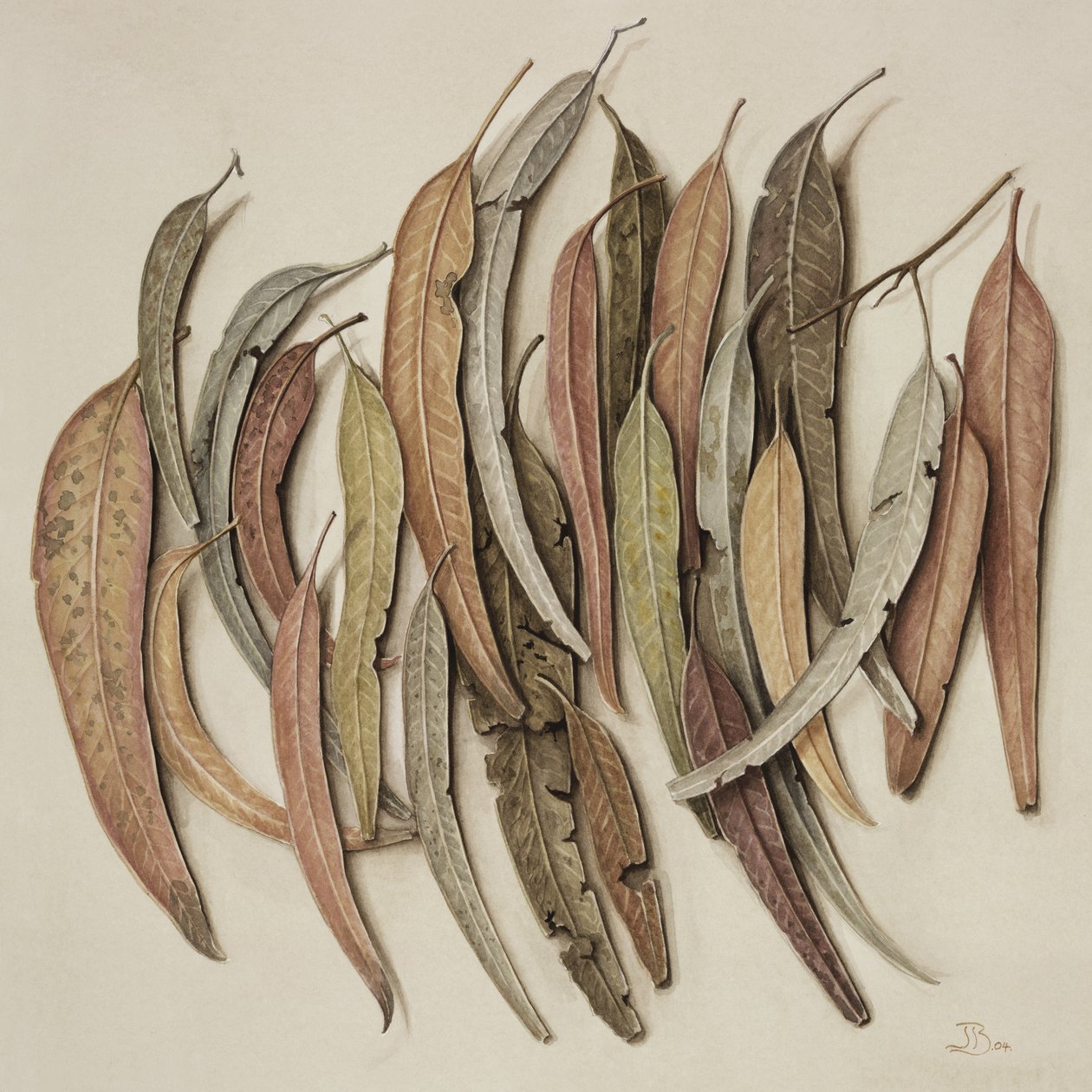 Eucalyptus Leaves, 2004 (wc på papir) af Jenny Barron