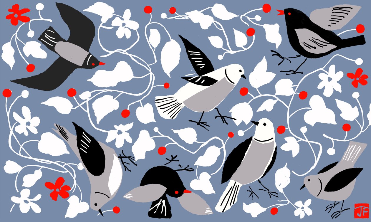 Birdy af Jenny Frean