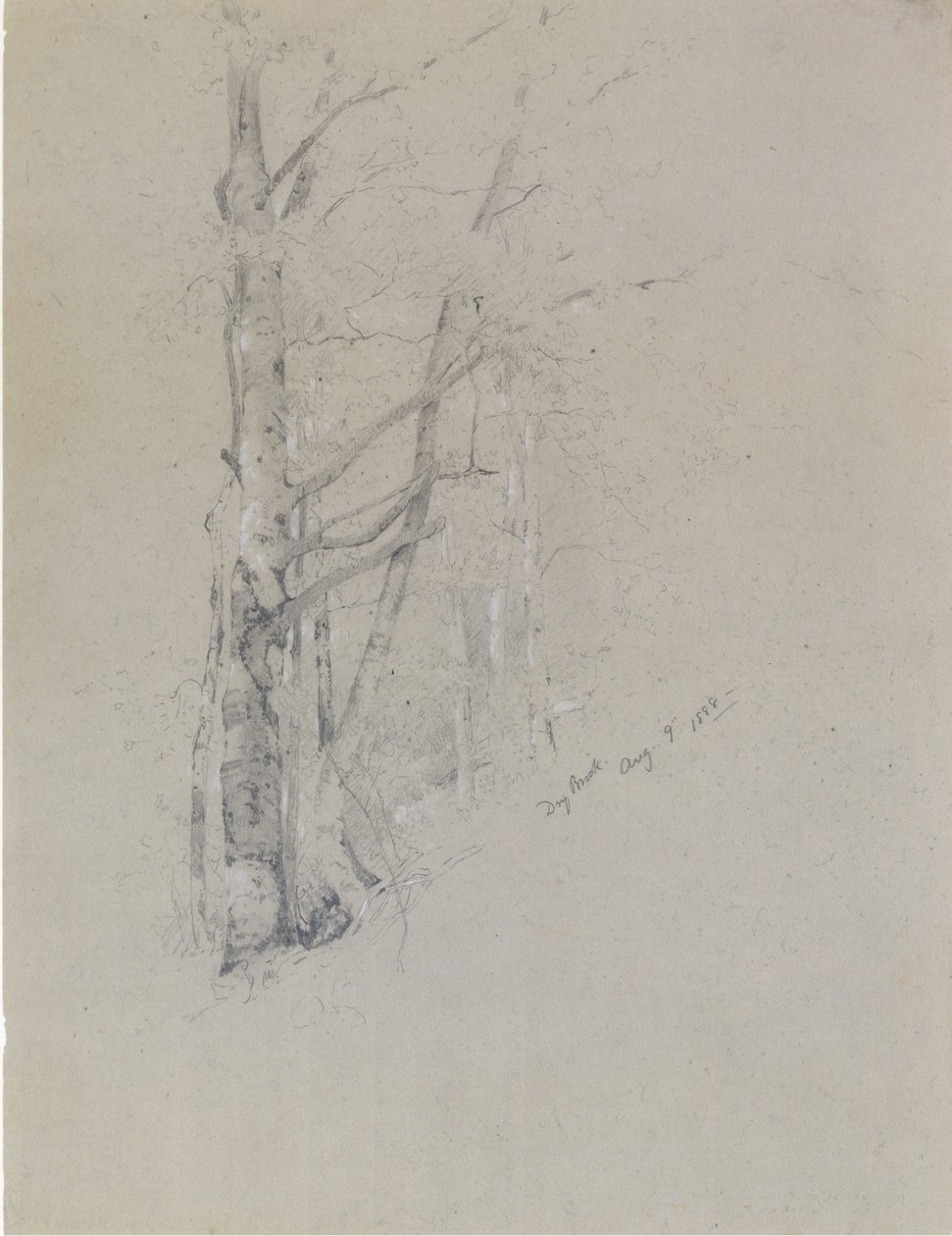 Dry Brook, 1888. af Jervis McEntee
