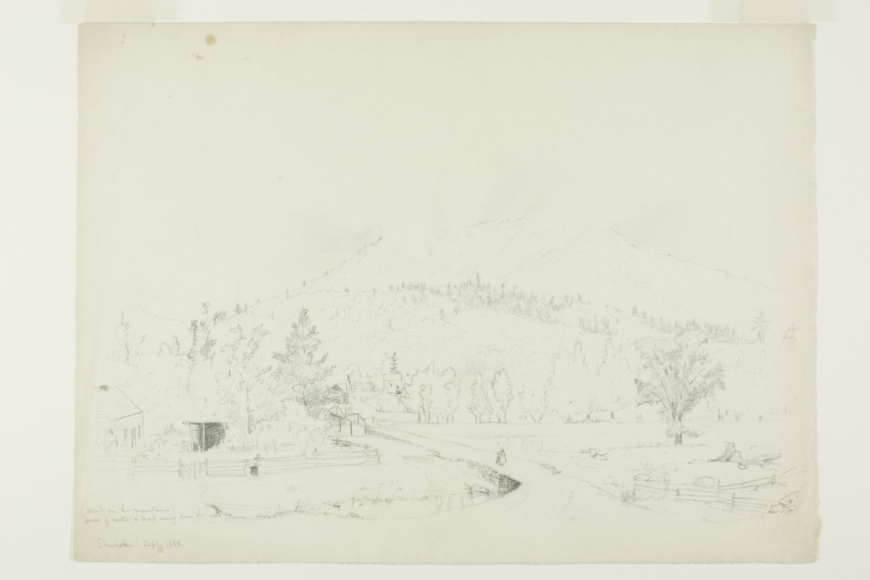 Tåge på bjergene af Jervis McEntee
