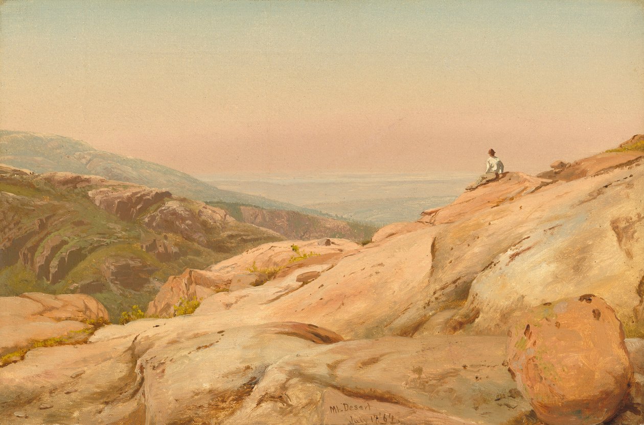 Mount Desert Island, Maine, 1864. af Jervis McEntee