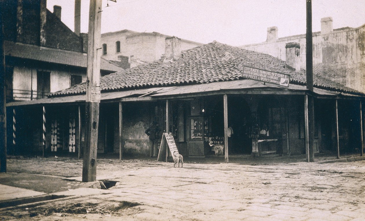 New Orleans, ca. 1905 af Jessie Tarbox Beals
