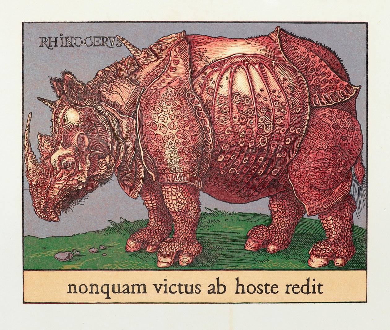Red Rhino, 2007 (træsnit) af Jim Monson