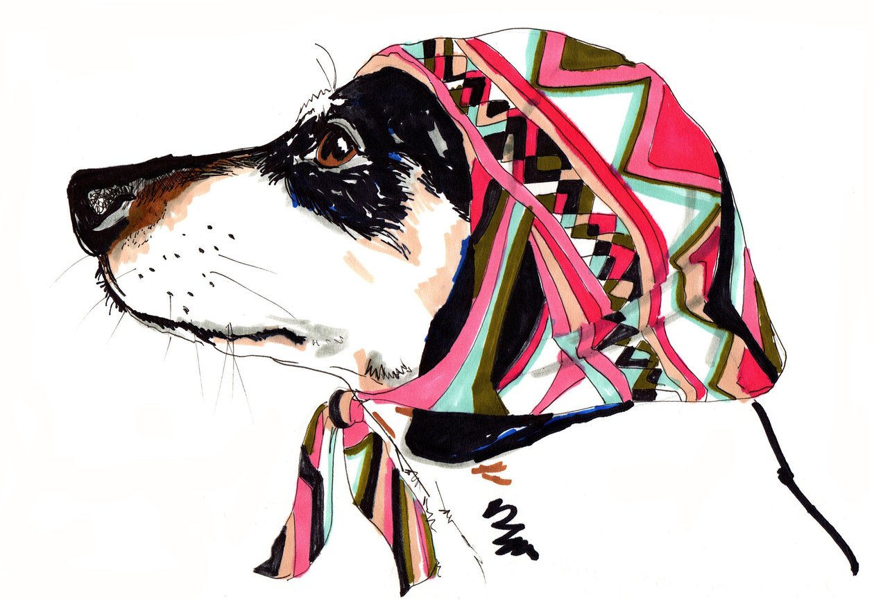 Pooch In Pucci, 2012 (pen og blæk på papir) af Jo Chambers