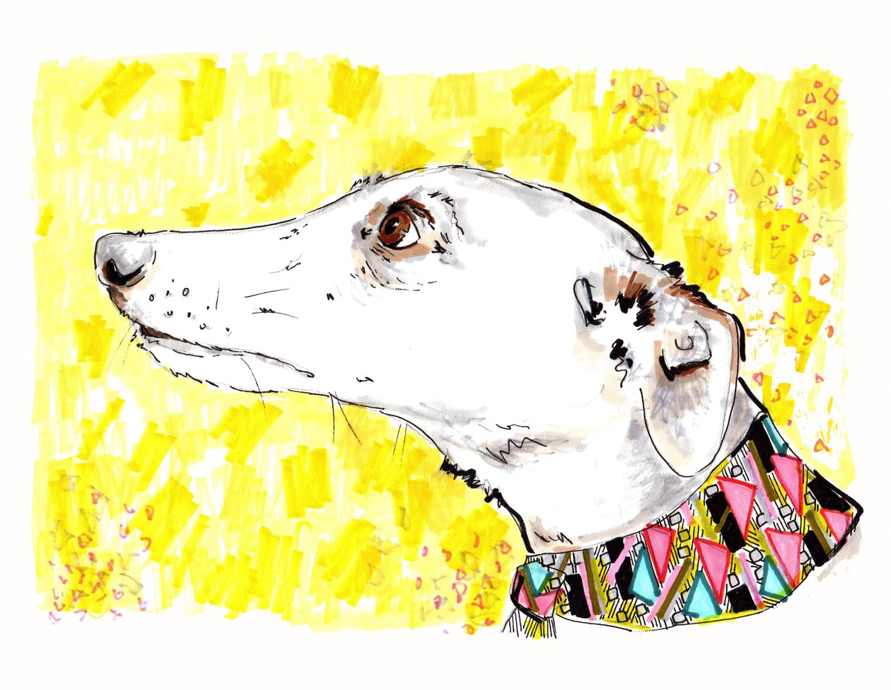 Silvertips The Greyhound, 2012 (pen og blæk på papir) af Jo Chambers