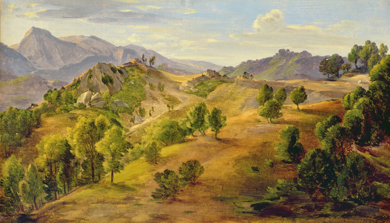 Serpentara ved Olevano, ca. 1824 (olie på papir lagt om bord) af Joachim Faber