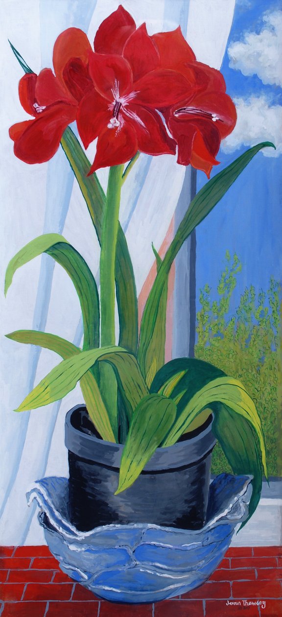 Amaryllis i en blå skål 2011 af Joan Thewsey