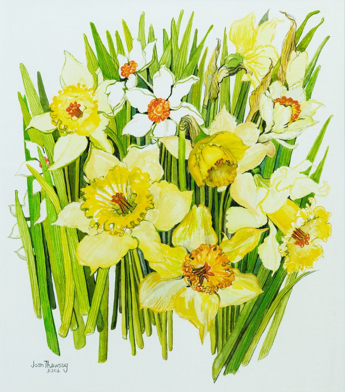 Påskeliljer og narcisser (wc på håndlavet papir) af Joan Thewsey