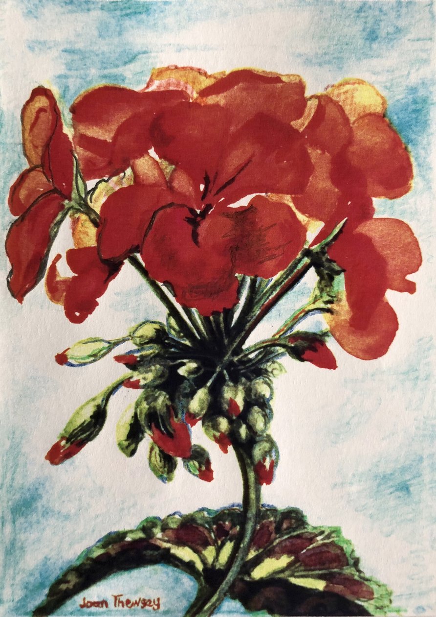 Geranium, af Joan Thewsey