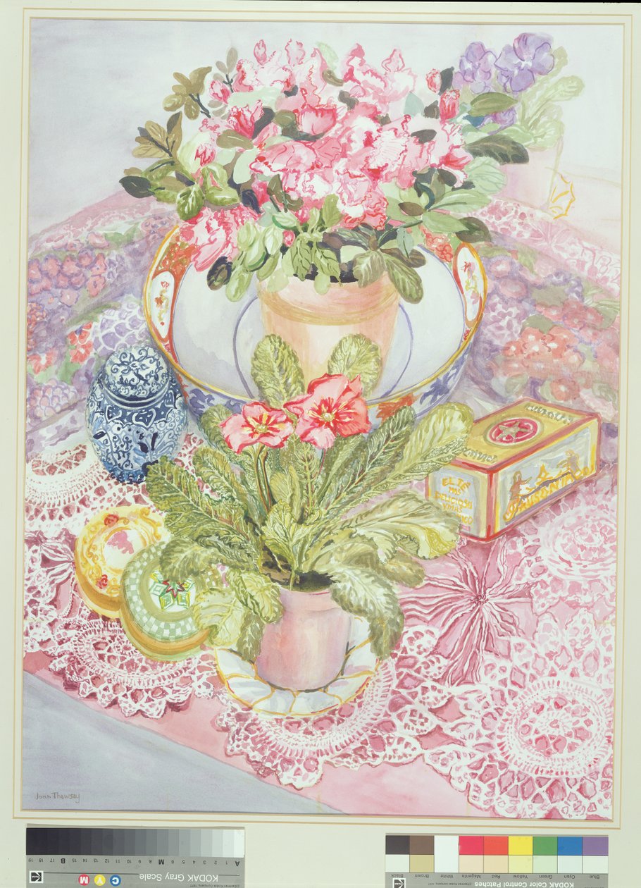 Primrose og Azalea af Joan Thewsey