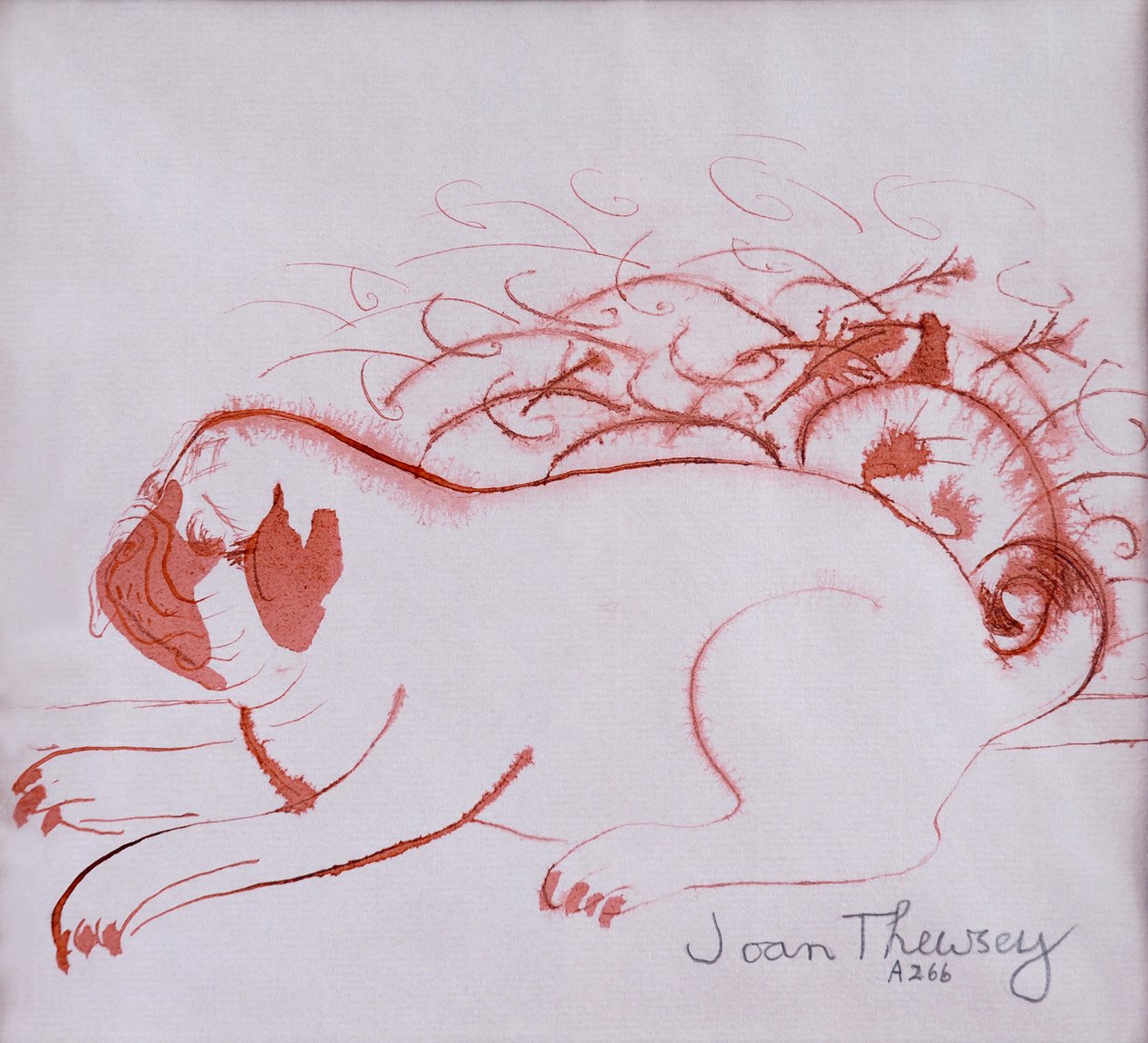 Pug Puppy 2,2005, (blæk på vådt papir) af Joan Thewsey