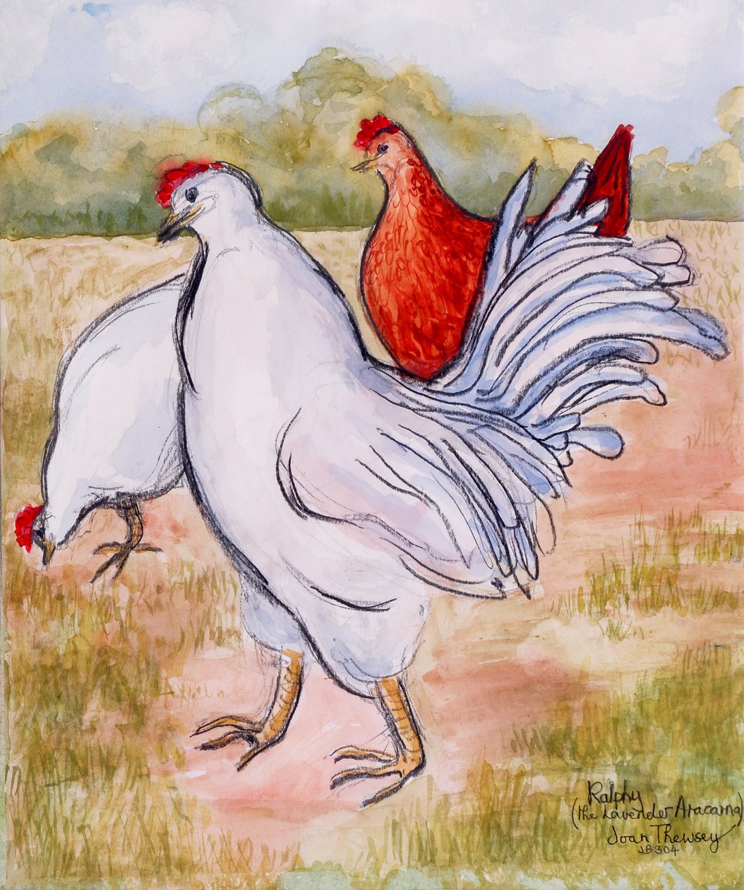 Ralfy, The Cockerel, 2005, (blyant og akvarel) af Joan Thewsey