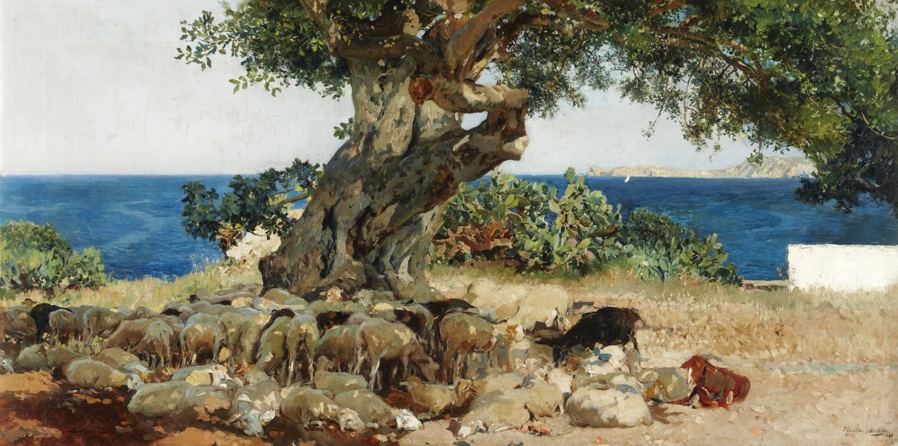 Algarrobo af Joaquín Sorolla
