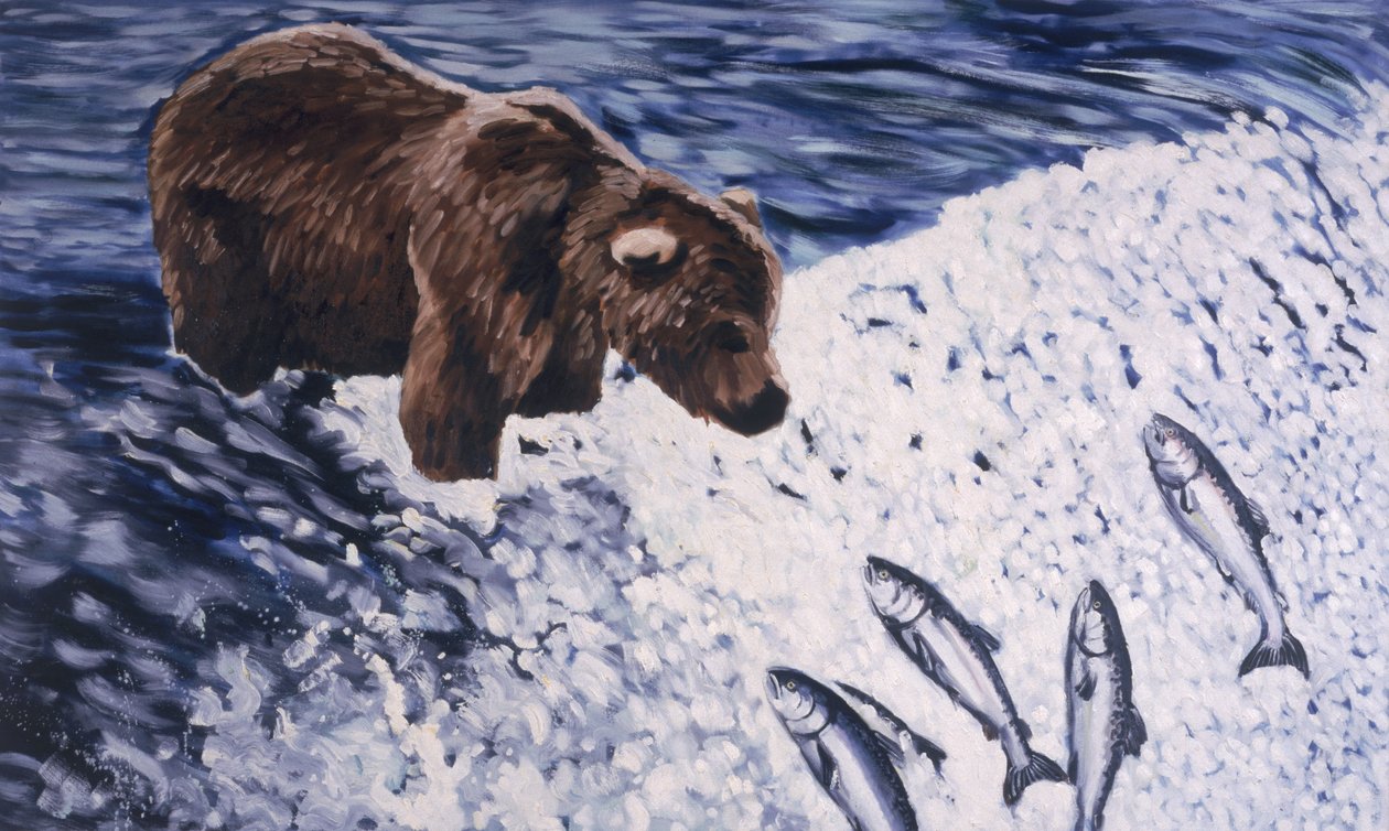 Brunbjørn fra Alaska, 2002 af Joe Heaps Nelson