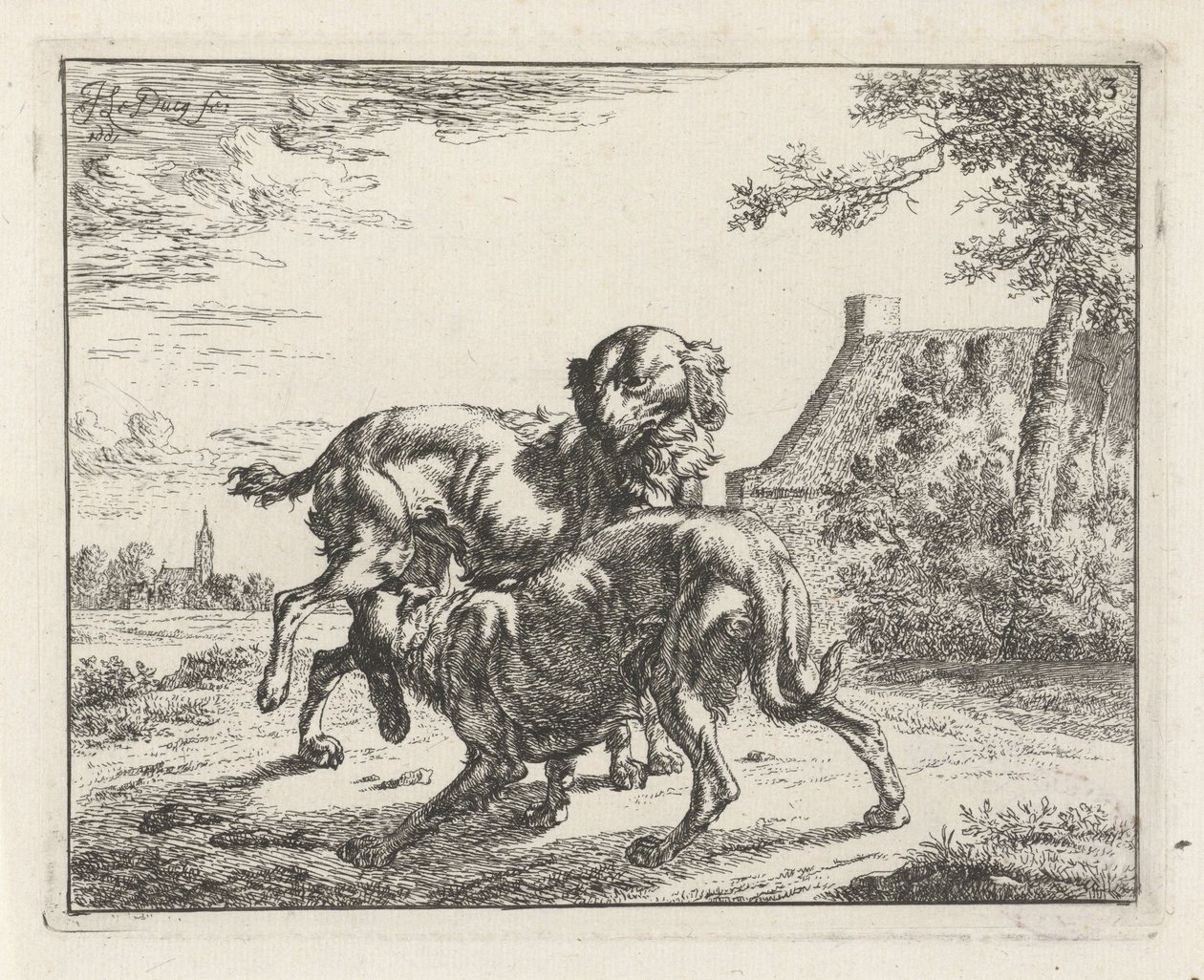 Hund og tæve af Johan le Ducq