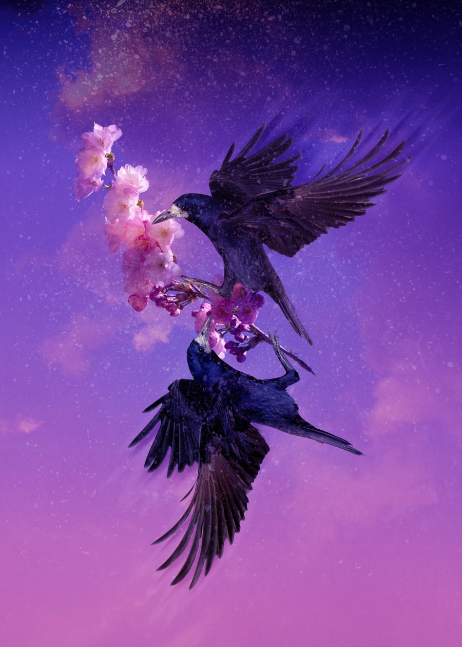 Bird Kingdom 5, 2018 (digital fotokunst) af Johan Lilja