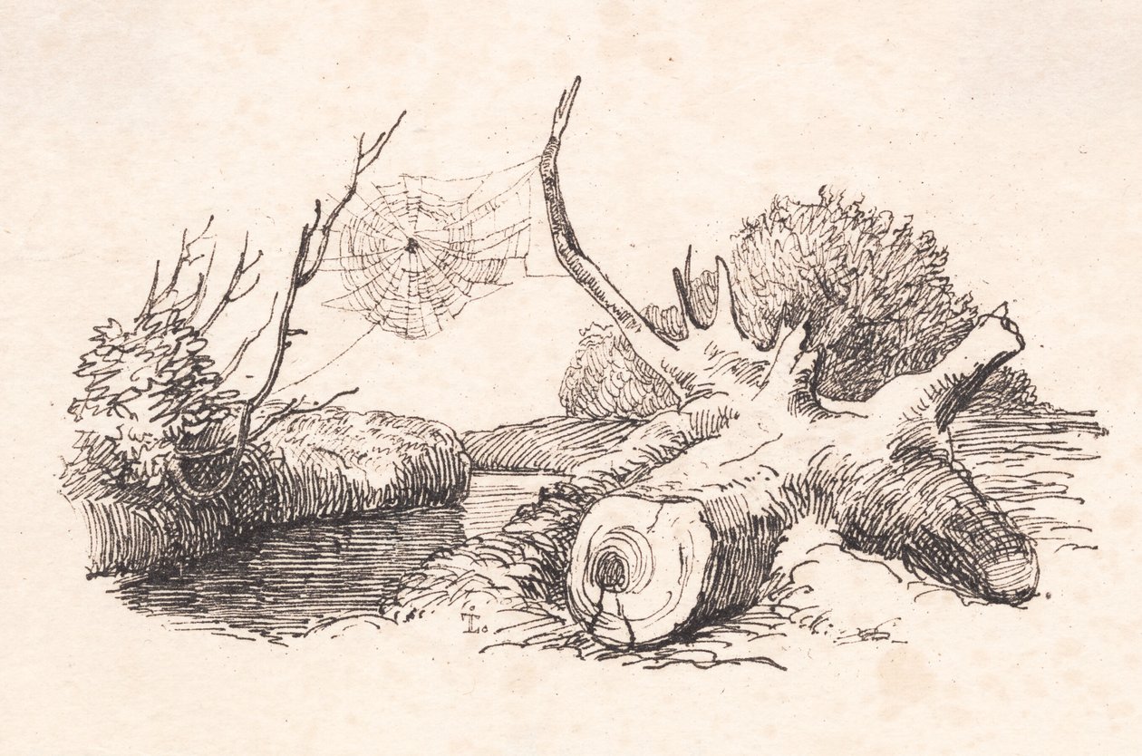 Edderkoppen af Johan Thomas Lundbye