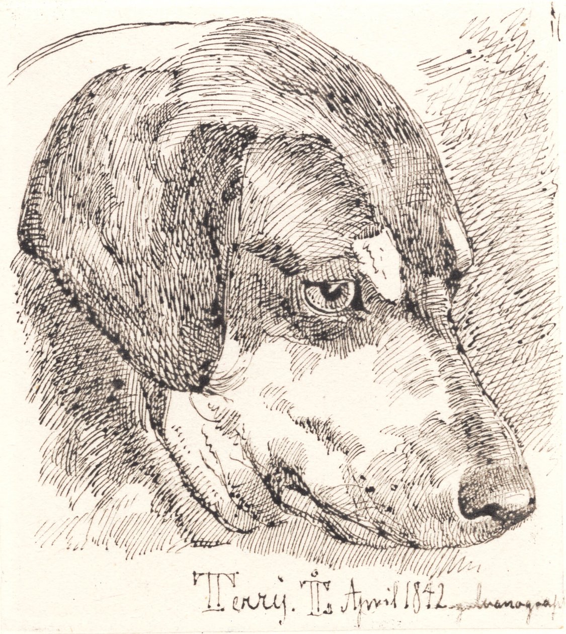 Hundehoved, Terry af Johan Thomas Lundbye