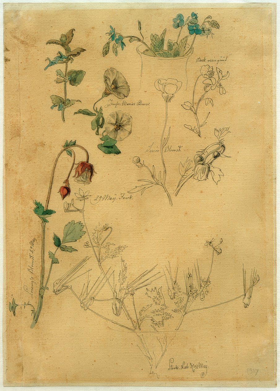 J. Th. Lundbye, Plantestudiet af Johan Thomas Lundbye
