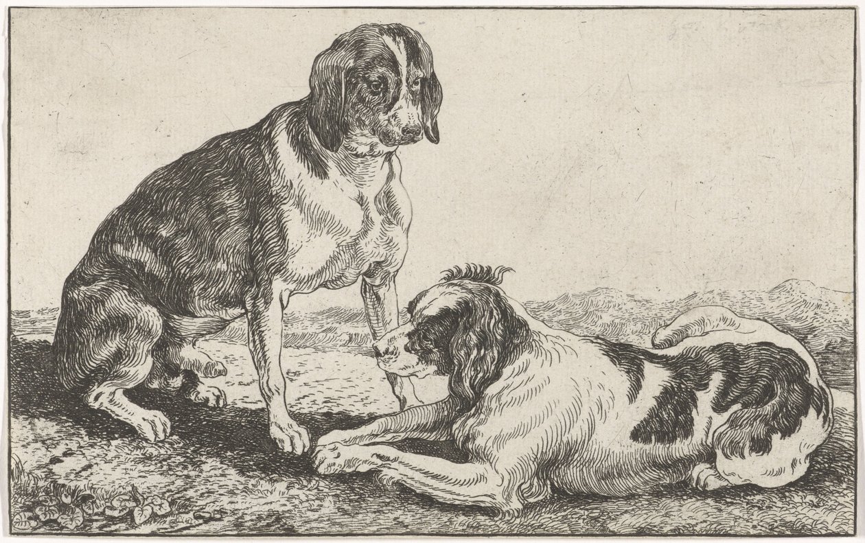 To hunde af Johan le Ducq