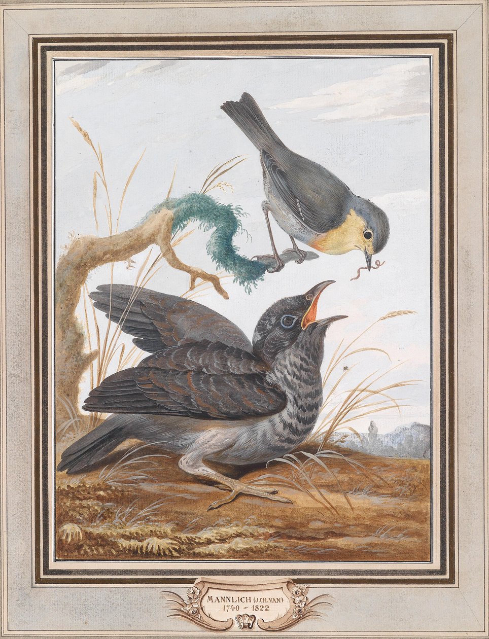 En robin fodrer en gøg af Johann Christian von Mannlich