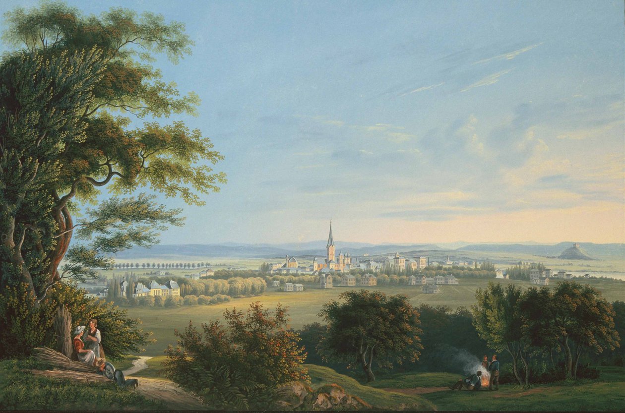 Udsigt over byen Vevay og dens omgivelser af Johann Ludwig Bleuler