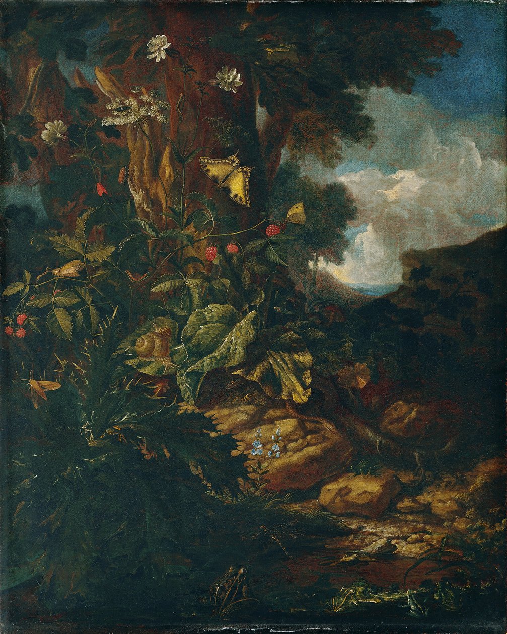 Landskab med krybdyr og insekter (II) af Johann Adalbert Angermayer