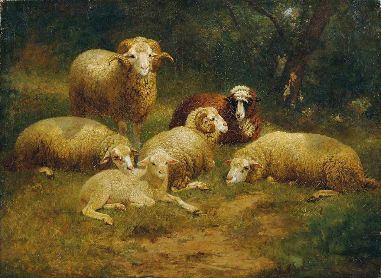 får af Johann Baptist Hofner