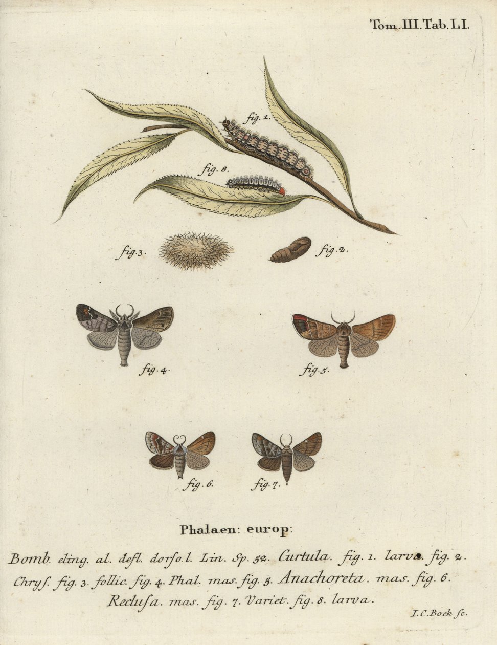 Chokolade-tip møl. af Johann Carl Bock
